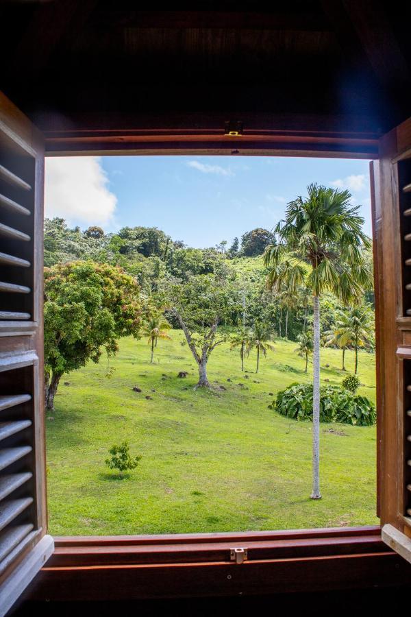Jardin Malanga Hotel Basse Terre Bagian luar foto