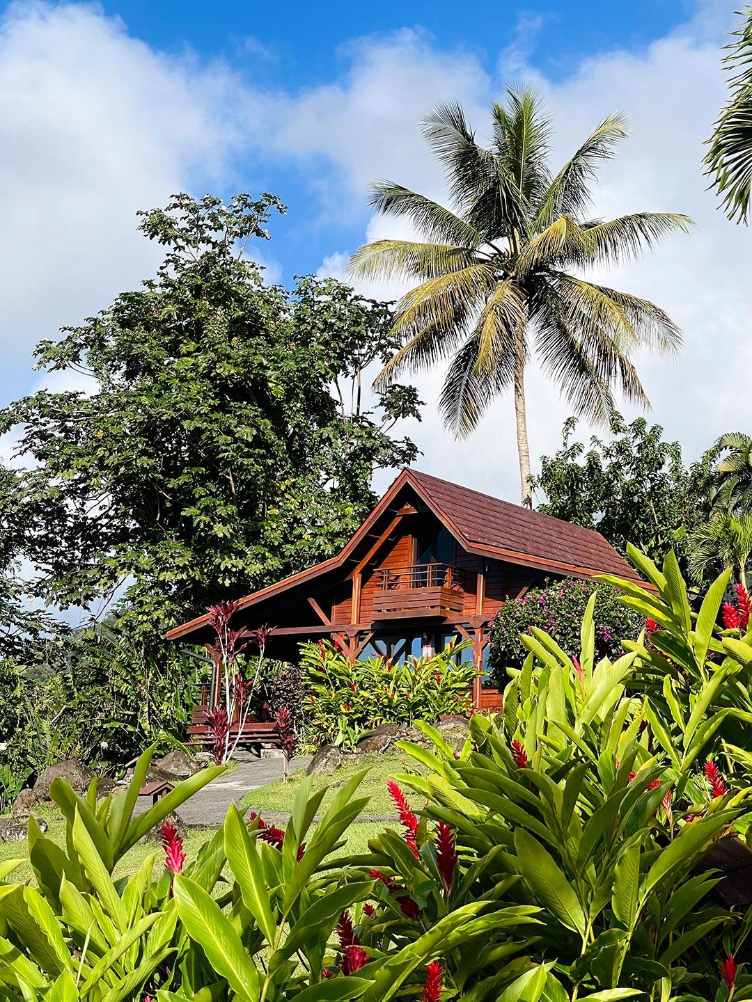 Jardin Malanga Hotel Basse Terre Bagian luar foto