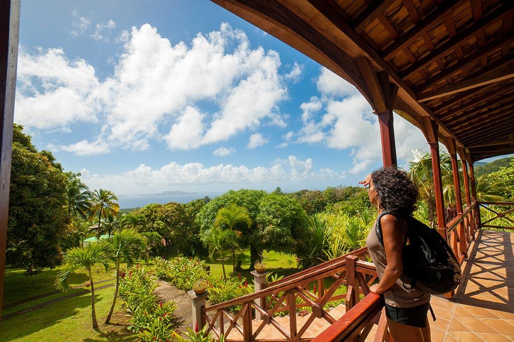 Jardin Malanga Hotel Basse Terre Bagian luar foto