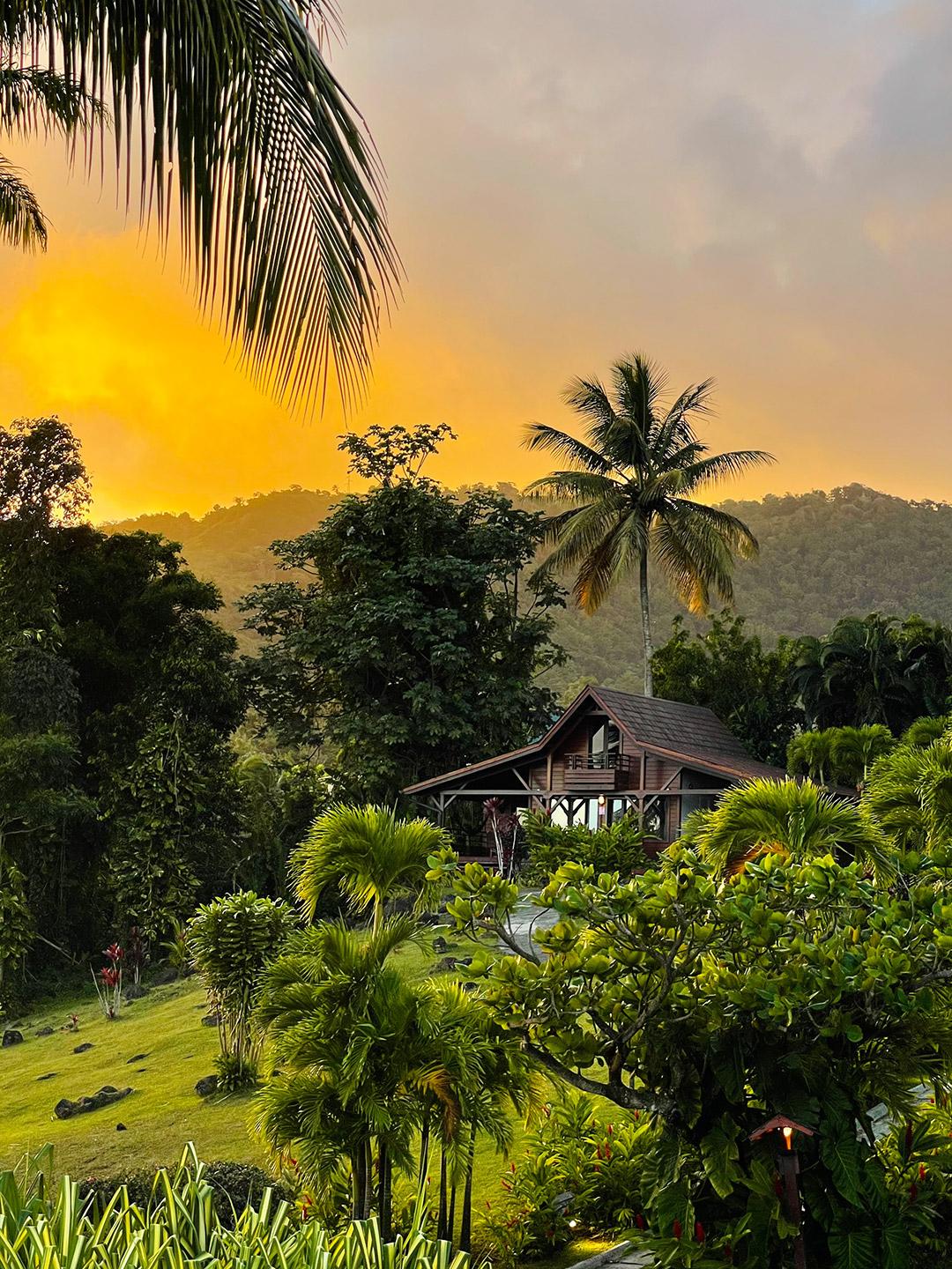 Jardin Malanga Hotel Basse Terre Bagian luar foto