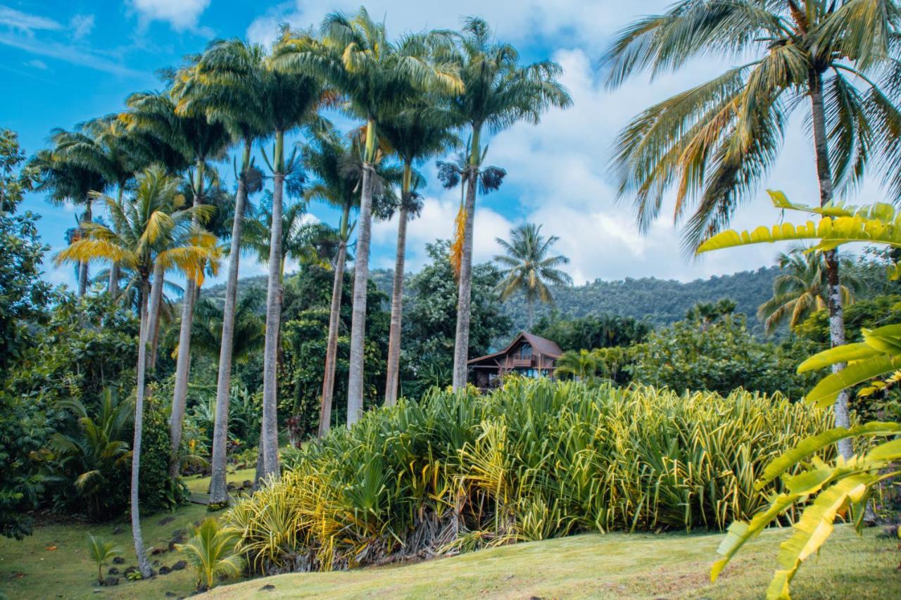 Jardin Malanga Hotel Basse Terre Bagian luar foto