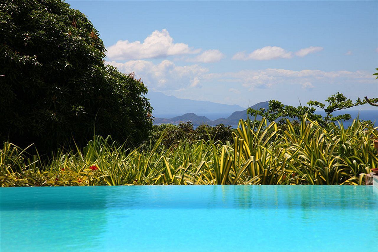 Jardin Malanga Hotel Basse Terre Bagian luar foto